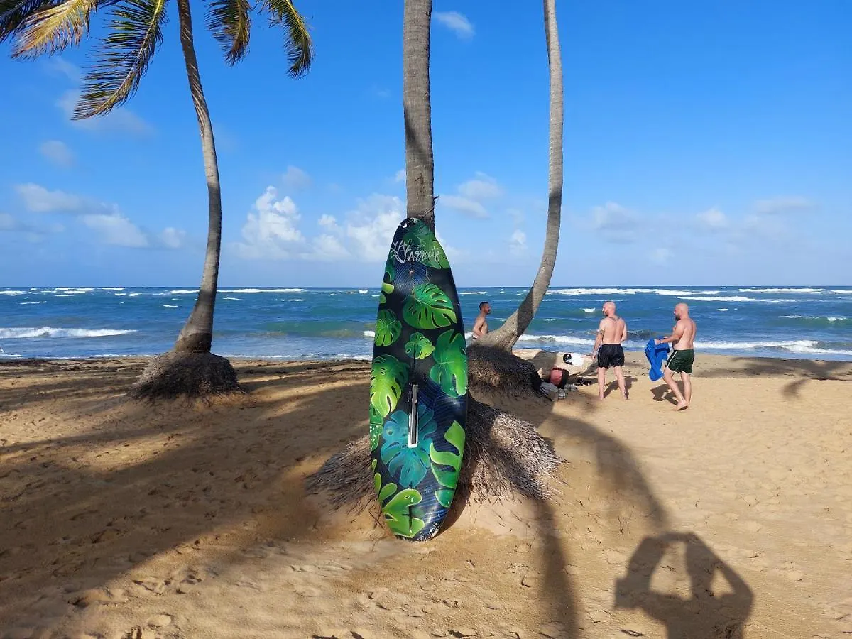 Puntacana Ecolodge Lavacama Beach Costa Arrecife By Aa Crypto Group 푼타 카나