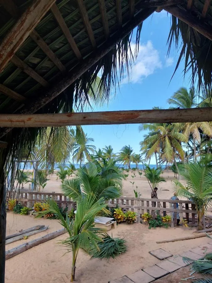 Puntacana Ecolodge Lavacama Beach Costa Arrecife By Aa Crypto Group 푼타 카나