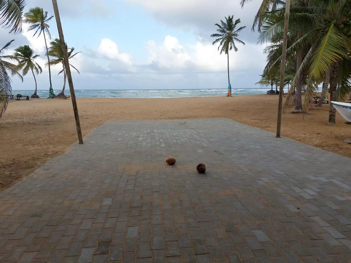Puntacana Ecolodge Lavacama Beach Costa Arrecife By Aa Crypto Group بونتا كانا جمهورية الدومينيكان