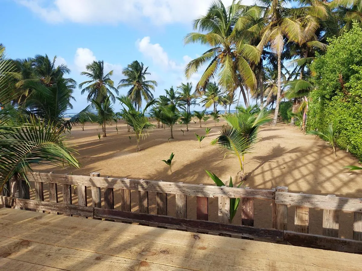 بيت خشبي Puntacana Ecolodge Lavacama Beach Costa Arrecife By Aa Crypto Group بونتا كانا